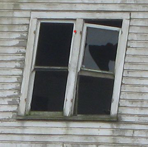 Window Repair, Portland Damaged Home