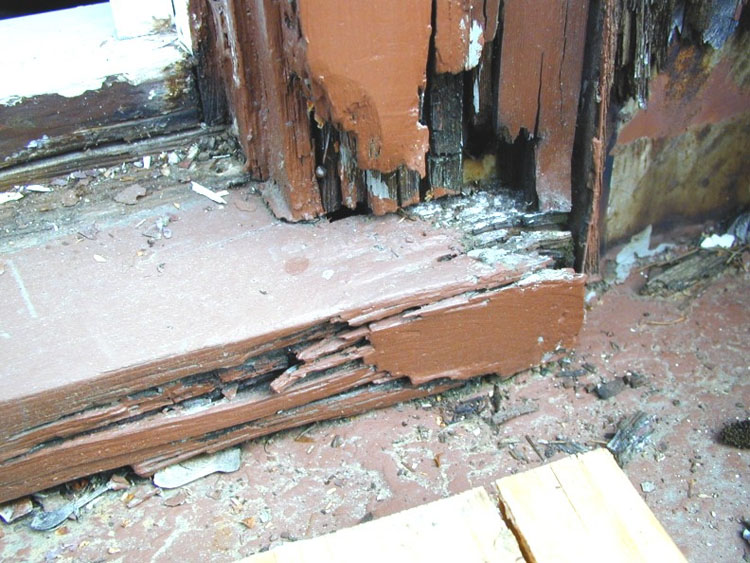 Project 12305 Water Damaged Wood Window Repair 2003 ADWM