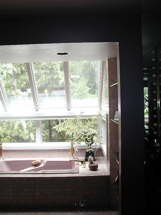 Project 15034 Solarium Reglaze & Glass Replacement 2011 ADWM