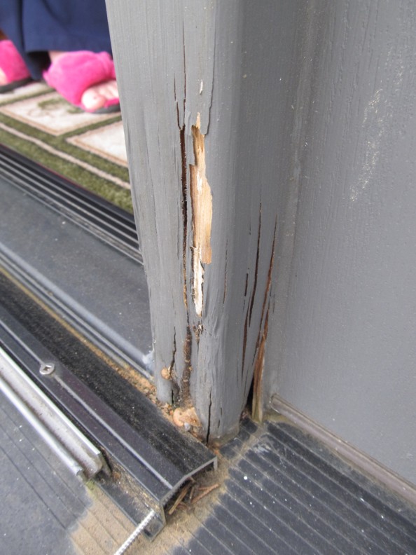 Project 26153 Replacing Water Damaged Door Jambs & Exterior Trim